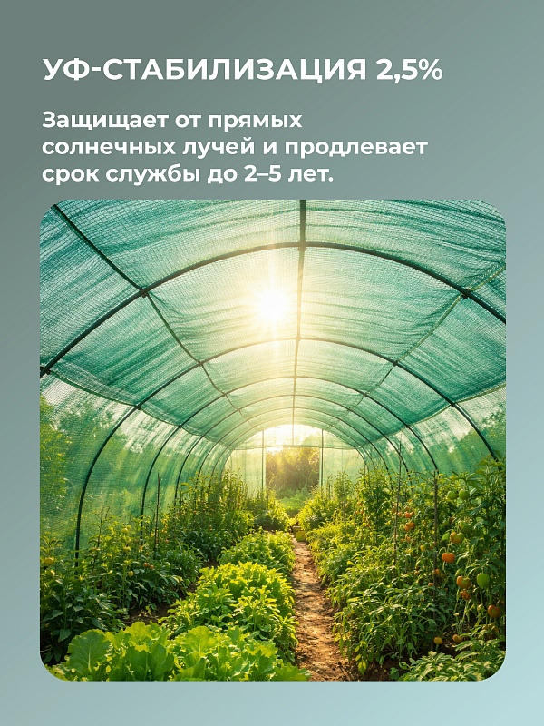 /upload/resize_cache/iblock/20f/800_800_0/qc7gbga5zd357n8a18ajvn1lj0okvg9p.jpg