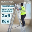 Лестница двухсекционная Alumet Ал 5209 фото 1