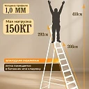 Стремянка Alumet  AM 710 фото 2
