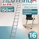 Лестница односекционная Alumet Ал 5116 фото 1
